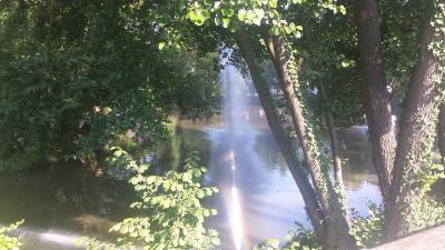 Riedseee droht durch die Hitze zum Kippen in Stuttgart